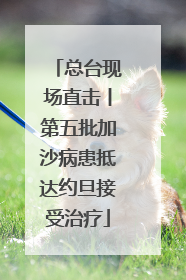 总台现场直击丨第五批加沙病患抵达约旦接受治疗