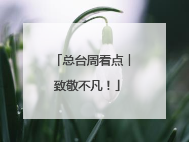 总台周看点丨致敬不凡！