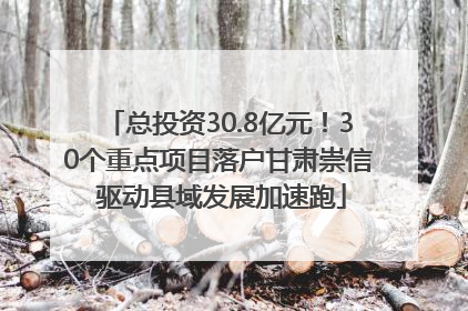 总投资30.8亿元！30个重点项目落户甘肃崇信 驱动县域发展加速跑