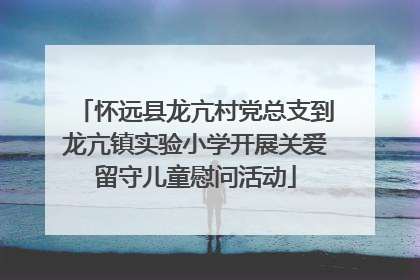 怀远县龙亢村党总支到龙亢镇实验小学开展关爱留守儿童慰问活动