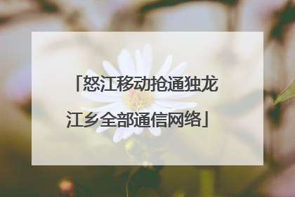 怒江移动抢通独龙江乡全部通信网络