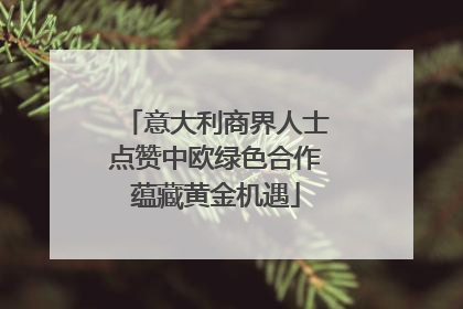 意大利商界人士点赞中欧绿色合作蕴藏黄金机遇