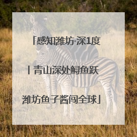 感知潍坊·深1度丨青山深处鲟鱼跃 潍坊鱼子酱闯全球