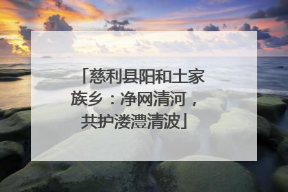 慈利县阳和土家族乡：净网清河，共护溇澧清波