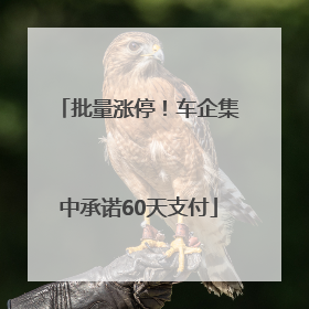 批量涨停！车企集中承诺60天支付