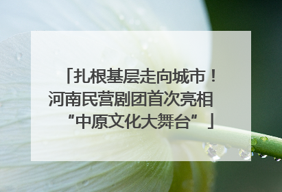 扎根基层走向城市！河南民营剧团首次亮相“中原文化大舞台”