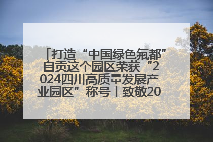 打造“中国绿色氟都” 自贡这个园区荣获“2024四川高质量发展产业园区”称号丨致敬2024经济影响力人物
