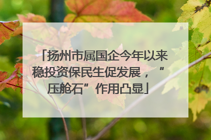 扬州市属国企今年以来稳投资保民生促发展，“压舱石”作用凸显