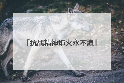 抗战精神炬火永不熄