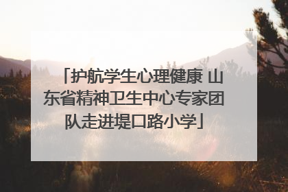 护航学生心理健康 山东省精神卫生中心专家团队走进堤口路小学