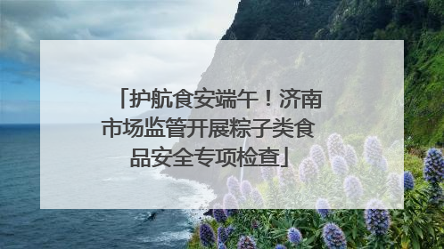 护航食安端午！济南市场监管开展粽子类食品安全专项检查