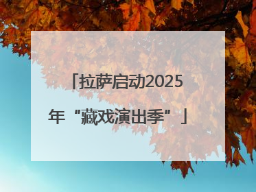 拉萨启动2025年“藏戏演出季”