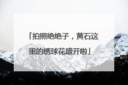 拍照绝绝子，黄石这里的绣球花盛开啦