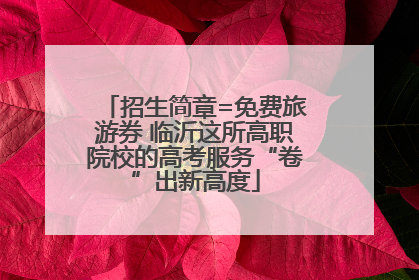 招生简章=免费旅游券 临沂这所高职院校的高考服务“卷”出新高度