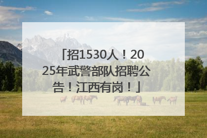 招1530人！2025年武警部队招聘公告！江西有岗！