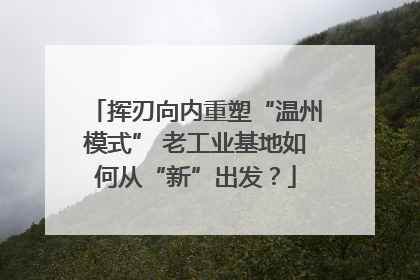 挥刃向内重塑“温州模式” 老工业基地如何从“新”出发？