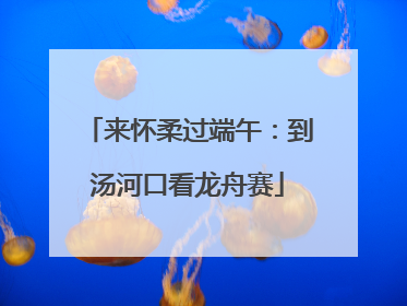 来怀柔过端午：到汤河口看龙舟赛