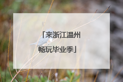 来浙江温州畅玩毕业季