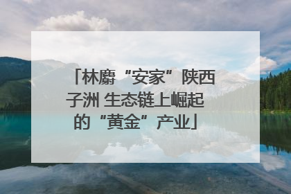 林麝“安家”陕西子洲 生态链上崛起的“黄金”产业