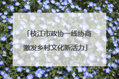枝江市政协一线协商激发乡村文化新活力
