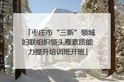 枣庄市“三新”领域妇联组织领头雁素质能力提升培训班开班