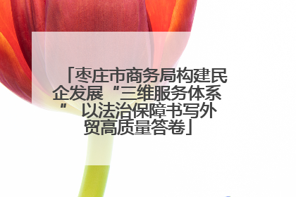 枣庄市商务局构建民企发展“三维服务体系” 以法治保障书写外贸高质量答卷