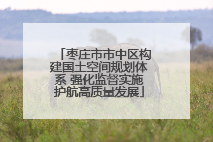 枣庄市市中区构建国土空间规划体系 强化监督实施护航高质量发展