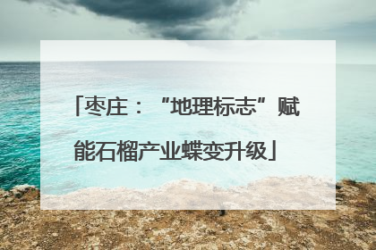 枣庄：“地理标志”赋能石榴产业蝶变升级