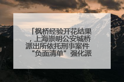 枫桥经验开花结果，上海崇明公安城桥派出所依托刑事案件“负面清单”强化派出所“主防”
