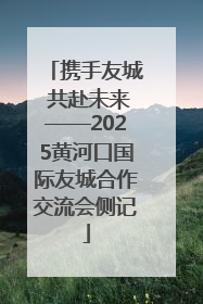 携手友城 共赴未来——2025黄河口国际友城合作交流会侧记
