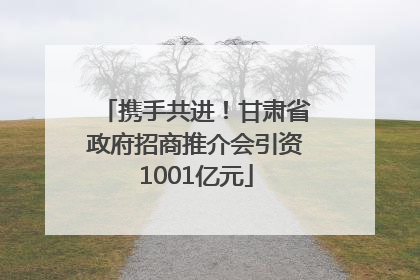 携手共进！甘肃省政府招商推介会引资1001亿元