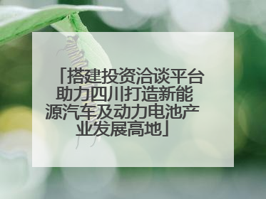 搭建投资洽谈平台 助力四川打造新能源汽车及动力电池产业发展高地
