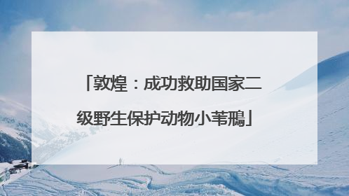 敦煌：成功救助国家二级野生保护动物小苇鳽