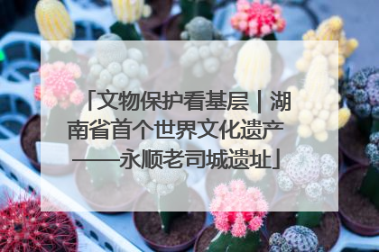 文物保护看基层｜湖南省首个世界文化遗产——永顺老司城遗址