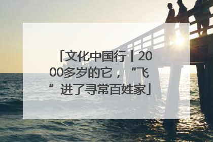 文化中国行丨2000多岁的它，“飞”进了寻常百姓家