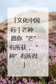 文化中国行｜芒种：愿你“芒”有所获，“种”有所得