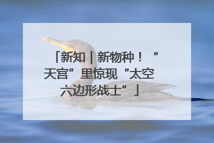 新知｜新物种！“天宫”里惊现“太空六边形战士”