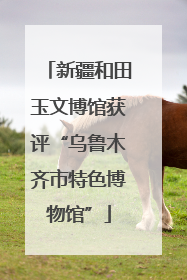 新疆和田玉文博馆获评“乌鲁木齐市特色博物馆”