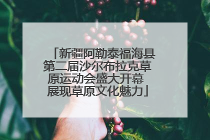 新疆阿勒泰福海县第二届沙尔布拉克草原运动会盛大开幕 展现草原文化魅力