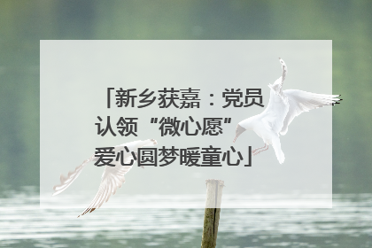 新乡获嘉：党员认领“微心愿” 爱心圆梦暖童心