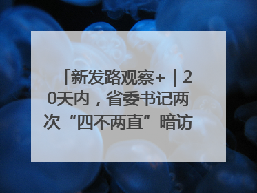 新发路观察+｜20天内，省委书记两次“四不两直”暗访，有何深意？