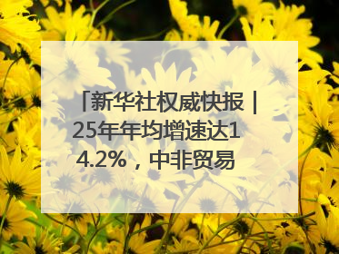 新华社权威快报｜25年年均增速达14.2%，中非贸易规模已超2万亿元