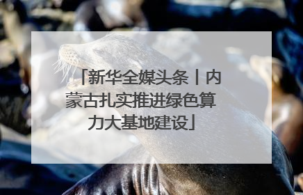 新华全媒头条丨内蒙古扎实推进绿色算力大基地建设