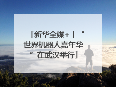 新华全媒+丨“世界机器人嘉年华”在武汉举行