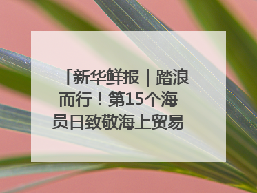 新华鲜报｜踏浪而行！第15个海员日致敬海上贸易“守护人”