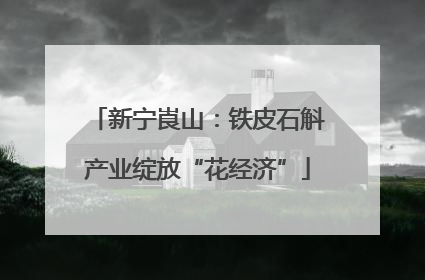 新宁崀山：铁皮石斛产业绽放“花经济”