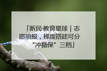 新民·教育星球｜志愿填报，梯度搭建可分“冲稳保”三档