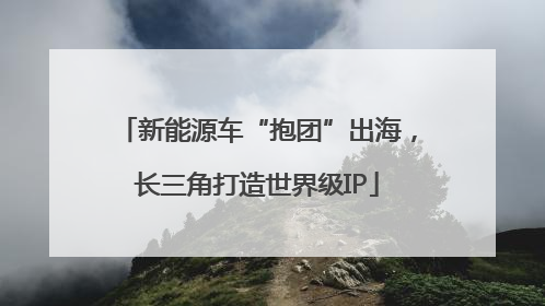 新能源车“抱团”出海，长三角打造世界级IP
