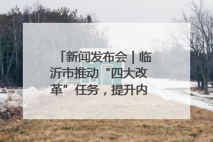 新闻发布会｜临沂市推动“四大改革”任务，提升内部审计监督效能