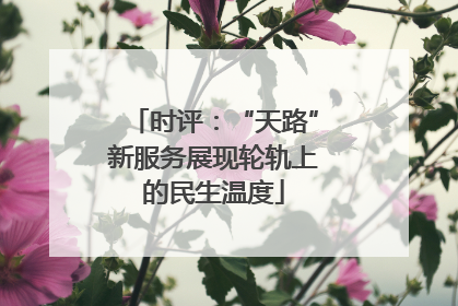 时评：“天路”新服务展现轮轨上的民生温度